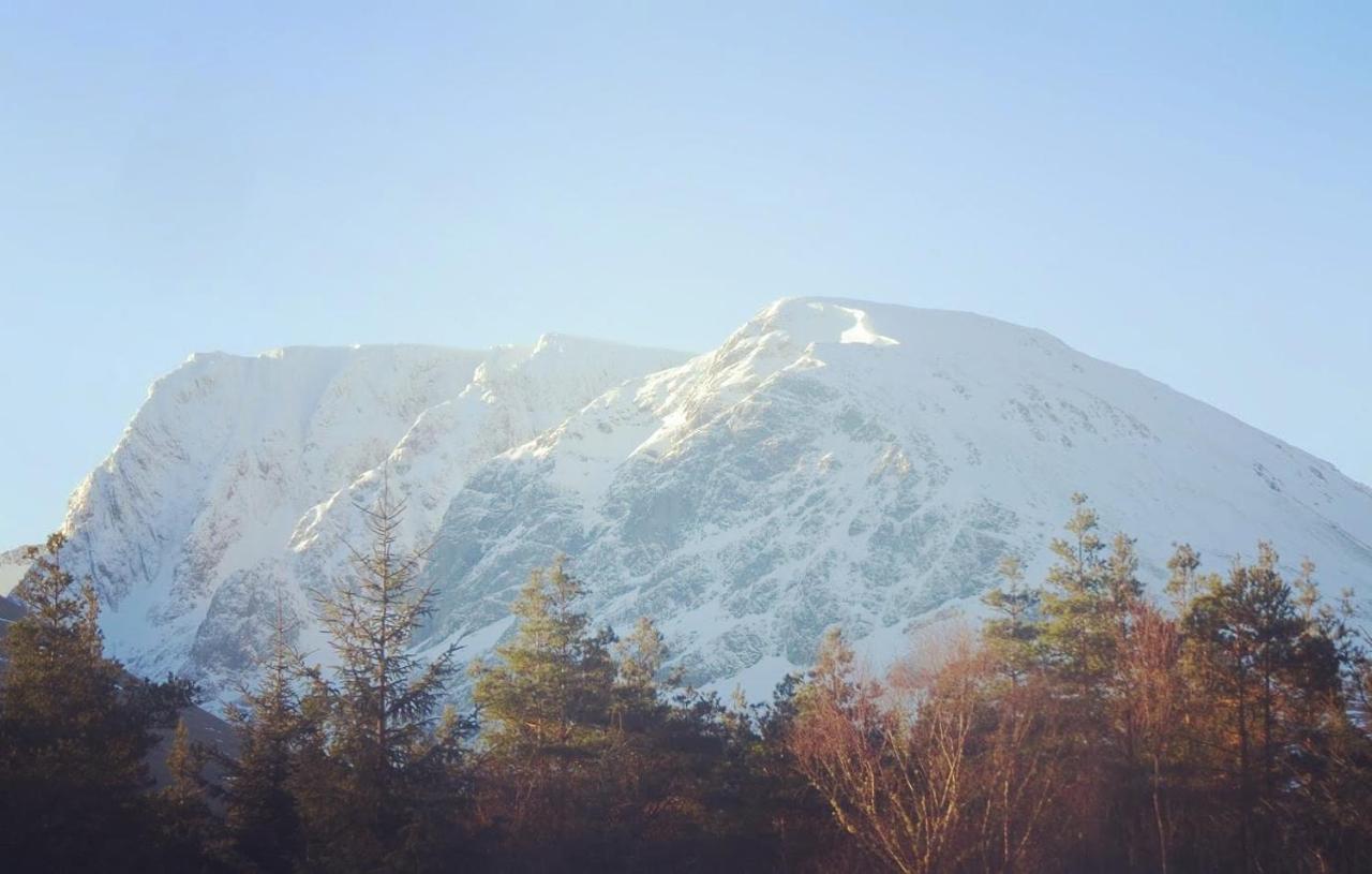 Wild Nurture Eco Luxury Offgrid Log Cabin Fort William Eksteriør bilde