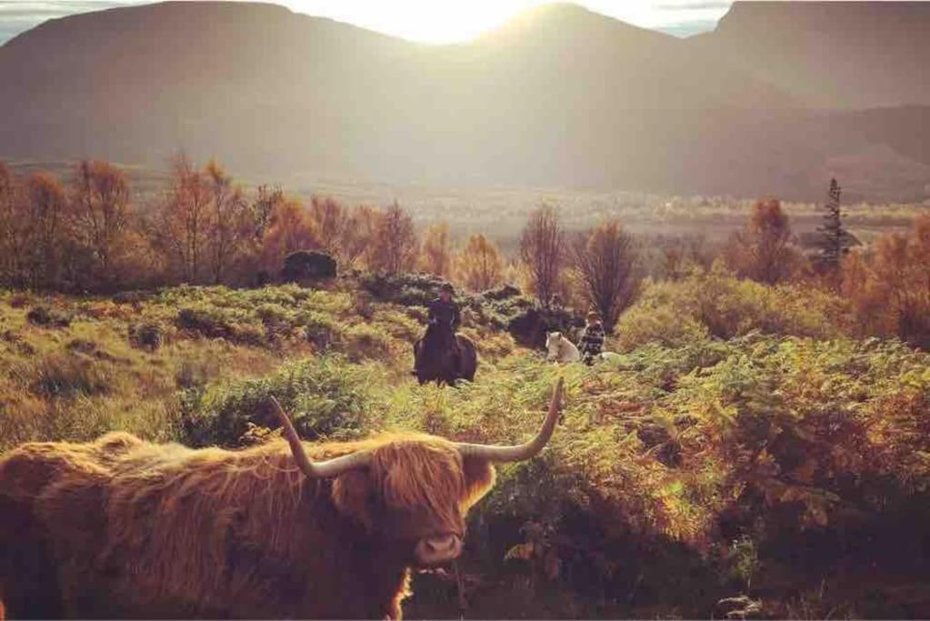 Wild Nurture Eco Luxury Offgrid Log Cabin Fort William Eksteriør bilde