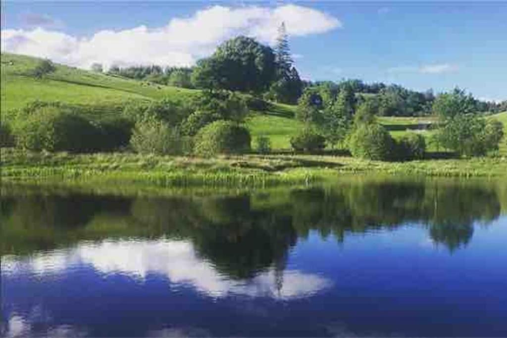 Wild Nurture Eco Luxury Offgrid Log Cabin Fort William Eksteriør bilde