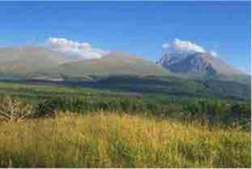 Wild Nurture Eco Luxury Offgrid Log Cabin Fort William Eksteriør bilde