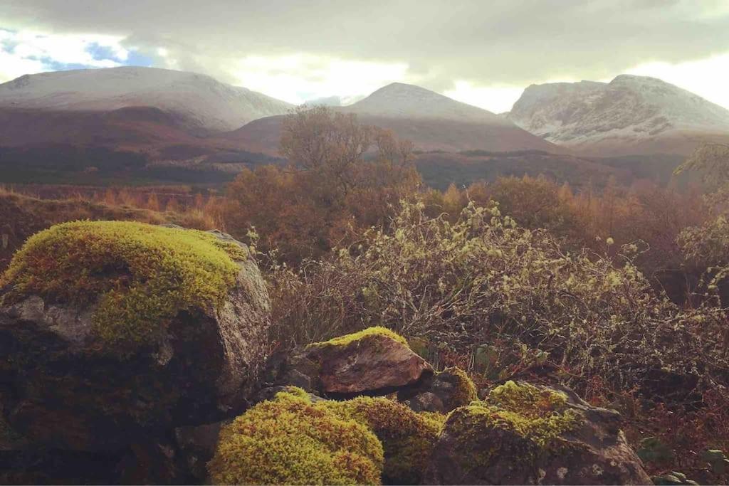 Wild Nurture Eco Luxury Offgrid Log Cabin Fort William Eksteriør bilde