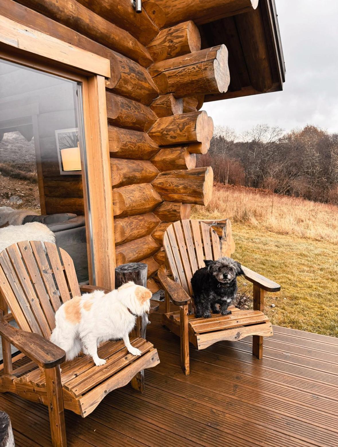 Wild Nurture Eco Luxury Offgrid Log Cabin Fort William Eksteriør bilde